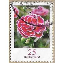 2008 - Gartennelke Carnation - 16823