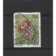 SouthAfrica.SG423 10c Protea Aristata.Fine Used.Sep25i