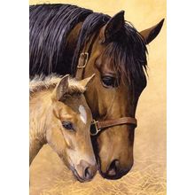 Mother's Comfort - Tree Free Greeting Card - 10923