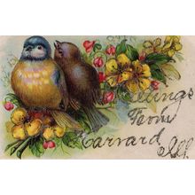 Birds Real Glitter Garrard Kentucky USA Embossed Greetings Old Postcard
