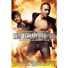 Formidables, Les (2007)_0 Movie Film Poster Canvas iconic design