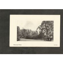 Postcard London Peckham Park