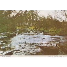 River Derwent Borrowdale Durham Womens Institute Postcard