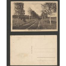 Germany Postcard Walsrode, Die Heide Bei Walsrode Unposted