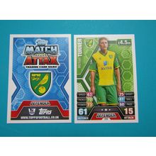 218. Michael Turner - Norwich City - Match Attax 2013/14 Football Card EF1
