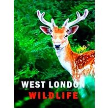 West London Wildlife