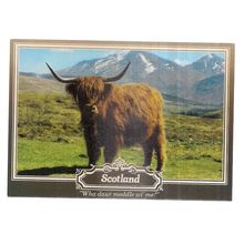 A MONARCH OF THE GLEN, a Highland cow steer... . unused postcard by Whiteholme =