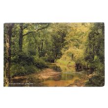NEW FOREST STREAM, used vintage postcard by J Salmon 1972 postmark =