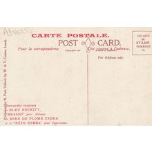Pate Zebra Antique Langdale Farm Advertising Postcard