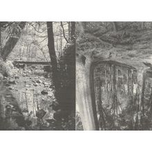 Blaise Bristol Beechwood 2x Award Woods Photo Postcard s