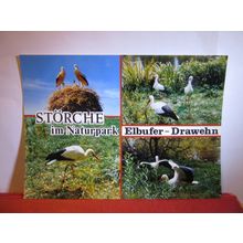 STORKS AT NATURPARK, ELBUFER DRAWEHN, GERMANY unused postcard #