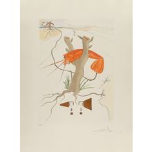Salvador Dalí Homage à Leonardo da Vinci 1975 Picture 11 Poster Canvas Movie Fil