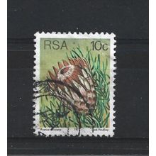 SouthAfrica.SG423 10c Protea Aristata.Fine Used.Sep25w