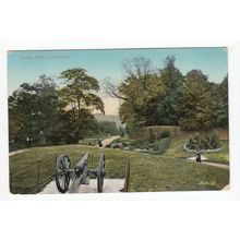 Cannon in Castle Park Colchester Postcard Essex