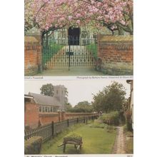 St Michaels Church Peasenhall Shrubbery 2x Suffolk Postcard