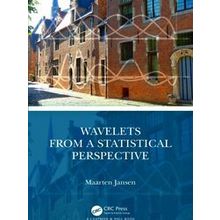 Wavelets from a Statistical Perspective