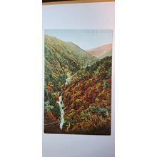VALLEY SCENE 1933 - 1945 (417)