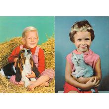 Boy With Basset Hound Child With Kitten Cat 2x 1960s Postcard s