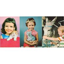 Boy With Pony Horse Child With Kitten Cat 3x 1960s Postcard s