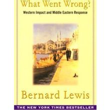 What Went Wrong?