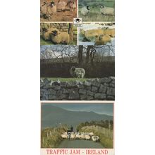 Highlands & Yorkshire Dales Sheep Irish Traffic Jam 3x Postcard s