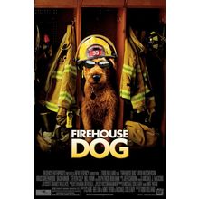 Firehouse Dog (2007)_0 Movie Film Poster Canvas iconic design