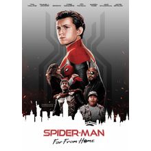 Spider Man Far From Home 27 Poster Canvas Movie Film Print A0 A1 A2 A3 A4 A5 A6