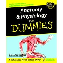 Anatomy Physiology For Dummies