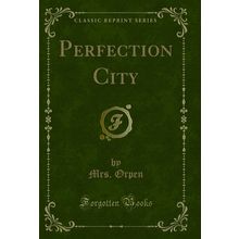 Perfection City (Classic Reprint)