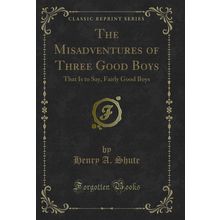The Misadventures of Three Good Boys: That Is to Say, Fairly Good Boys