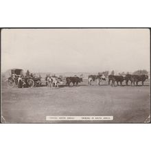 Treking in South Africa, 1913 - RO Basson RP Postcard