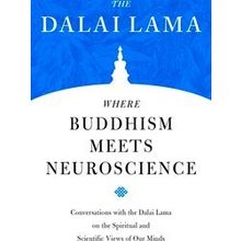 Where Buddhism Meets Neuroscience