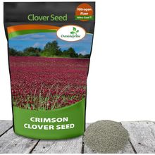 Outsidepride Crimson Clover Seeds - 10 Lbs. Annual, Nitrocoated, & Inoculated Gr