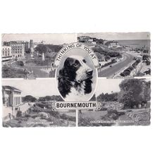 multiview, BOURNEMOUTH, DORSET used vintage postcard RP c.1961 spaniel dog =