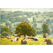 Art DOUGLAS PERCY BLISS Carson's Cows Postcard (Medici 2132)