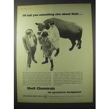 1958 Shell Chemicals Ad - Something Else