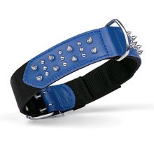 Dog Pet Leather/Nylon Collar With Spikes W 3/4" L 10"-13" - Royal Blue