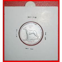 Ⰶ GREAT BRITAIN (1942-1969):IRELAND★6 PENCE 1964 DOG★HOLDER★LOW START★NO RESERVE