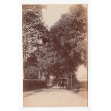 Hayes Lane Bromley Postcard RP Kent