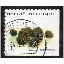 BEL 2007 (52c)(S/A) 'FRUIT- BLACKBERRIES' FINE USED (EBID10436)