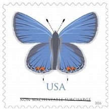 Eastern Tailed Blue Non Machineable Surcharge PACK OF TEN Stamps - 5136