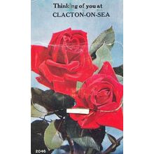 Clacton On Sea Essex Romantic Antique Flowers Romance Folding Photo Postcard