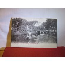 BOATING ON THE LIESBEEK RIVER, MOWBRAY, SOUTH AFRICA unused antique postcard =