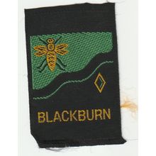 Scout Badge UK - Darwin - Ribbon (BY218)