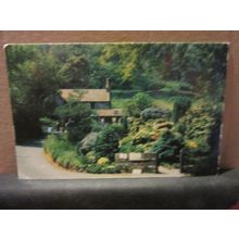 THE TEA COTTAGE, LEE ABBEY, LYNTON , DEVON used postcard =