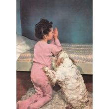 Dog Saying His Prayer Praying With Italian Lady 1960s Italy Postcard