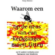 Waarom Een Vlieg Op De Neus Van Een Kerkganger Ging Zitten