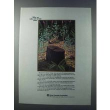 1981 Boise Cascade Ad - We Take Care of Our Trees