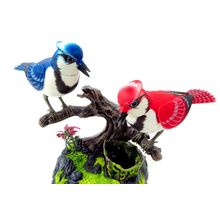 Singing & Chirping Birds - Realistic Sounds And Movements (Blue Jays)
