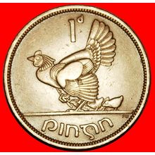 Ⰶ GREAT BRITAIN (1940-1968): IRELAND ★ 1 PENNY 1948 CHICKS!★LOW START★NO RESERVE